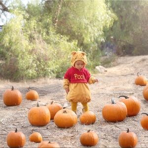 Disney Winnie The Pooh Costume | 18-24 M